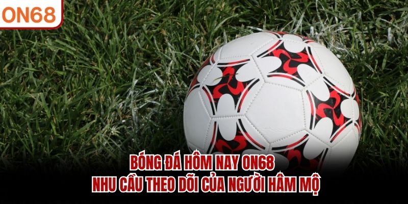 bóng đá hôm nay