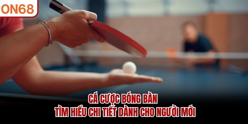 Cá Cược Bóng Bàn