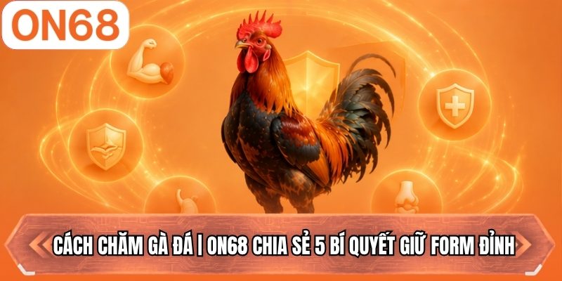 Cách chăm gà đá