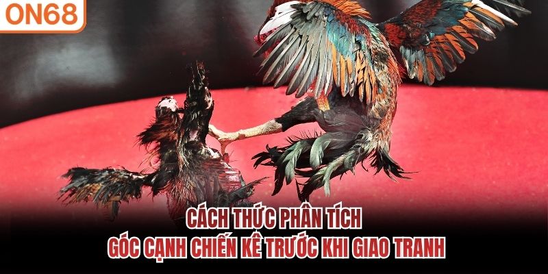 Cách thức phân tích góc cạnh chiến kê trước khi giao tranh