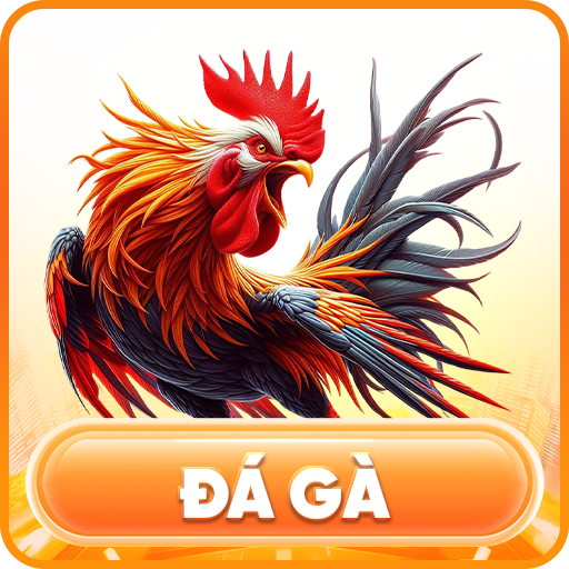 đá gà on68