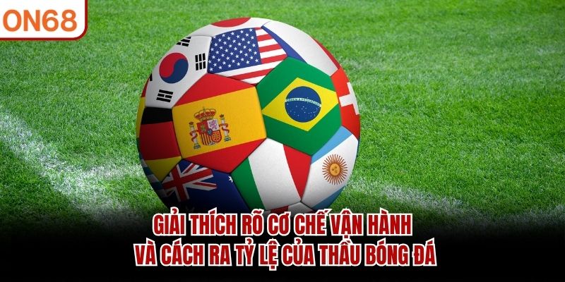 Giải thích rõ cơ chế vận hành và cách ra tỷ lệ của thầu bóng đá