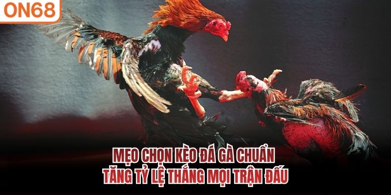 Mẹo Chọn Kèo Đá Gà