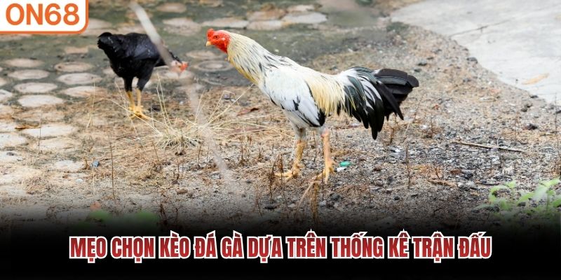 Mẹo chọn k&egrave;o đ&aacute; g&agrave; dựa tr&ecirc;n thống k&ecirc; trận đấu