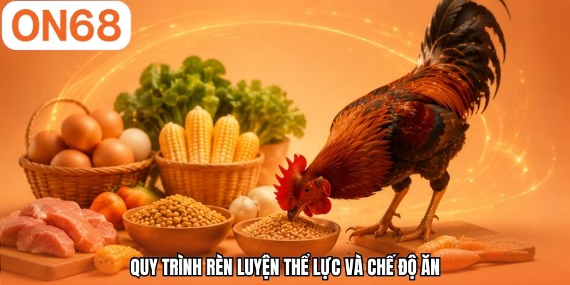 Quy trình rèn luyện thể lực và chế độ ăn