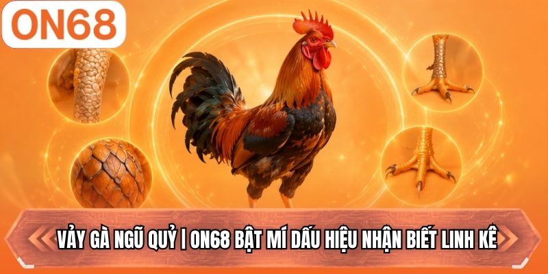 Vảy gà ngũ quỷ