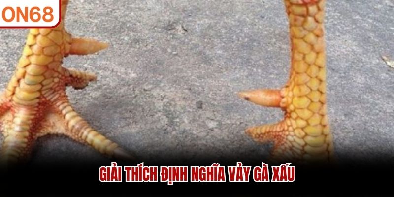 Giải thích định nghĩa vảy gà xấu
