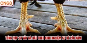 23 Vảy Gà Xấu