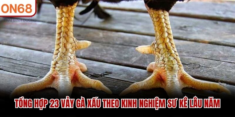 23 Vảy Gà Xấu
